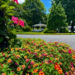 It's always such a joy to see the flowers bloom in spring.