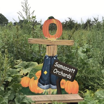 Samascott Orchards - The pumpkin patch - Fruits & Veggies Near Me - Kinderhook, New York