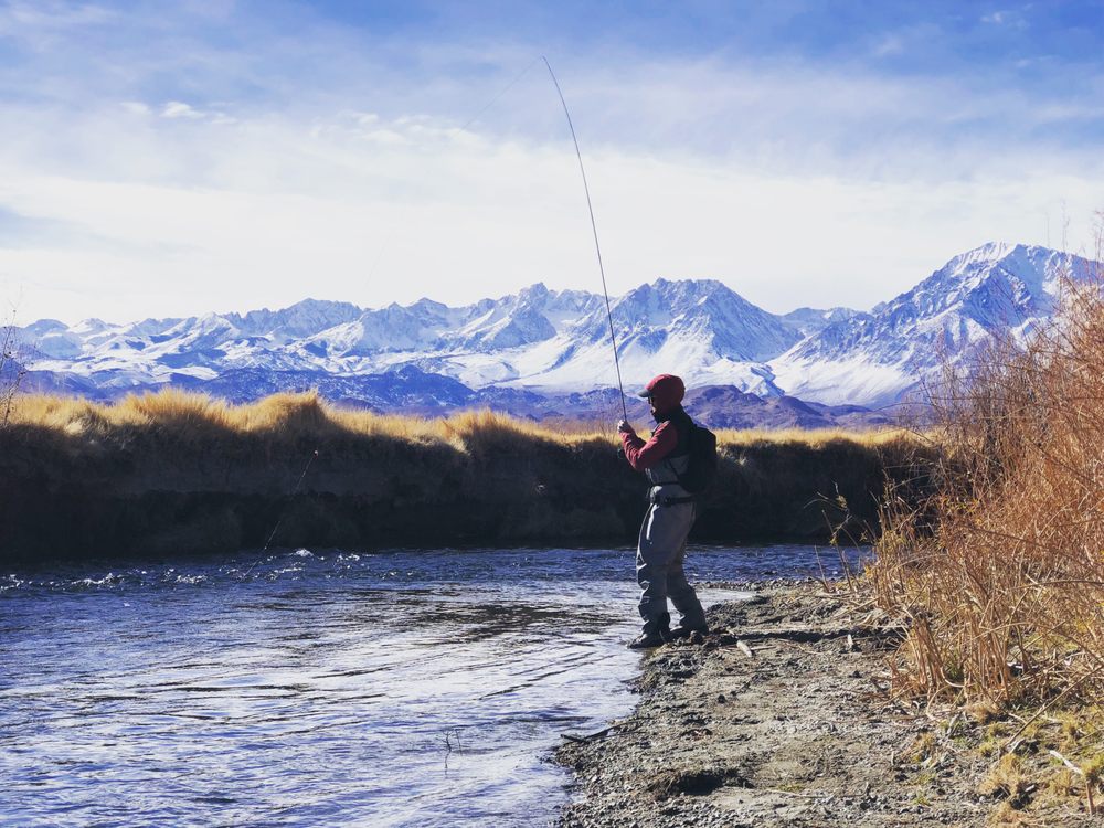 Golden Trout Guiding Logo