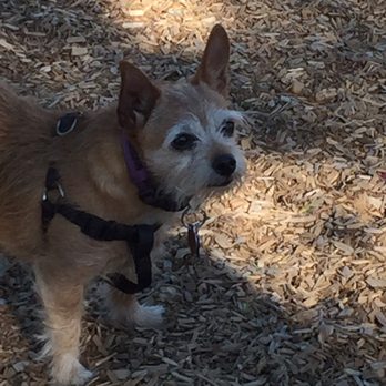 North Domingo Baca Dog Park - Dog Parks Near Me - Albuquerque, New Mexico