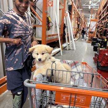 Dog Training With Miri - Pet Training Near Me - Richmond, California Dog Training With Miri - Pet Training Near Me - Richmond, California