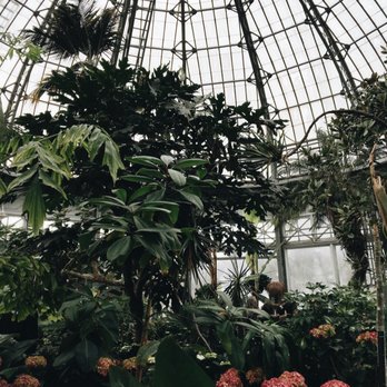 Allan Gardens - beautiful plants and trees growing inside - Parks Near Me - Toronto, Ontario Allan Gardens - beautiful plants and trees growing inside - Parks Near Me - Toronto, Ontario
