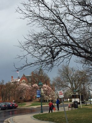 Gallaudet University by null