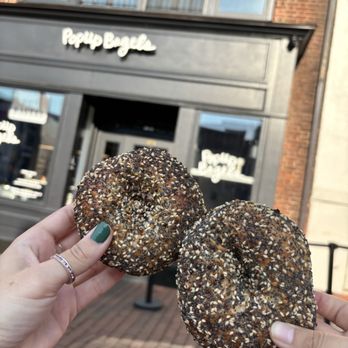 PopUp Bagels - Everything bagel - Bagels Near Me - Washington, DC, District of Columbia