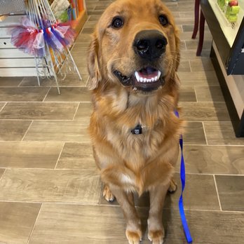 Cafe' Du Bone Dog Bakery and Boutique - Lancelot's Birthday Visit to Cafe Du Bone - Pet Stores Near Me - Slidell, Louisiana