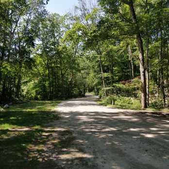 Pachaug State Forest - Green Falls Area - Even the road is pretty - Parks Near Me - Voluntown, Connecticut Pachaug State Forest - Green Falls Area - Even the road is pretty - Parks Near Me - Voluntown, Connecticut