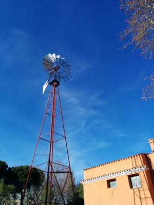 Parque de la Quinta de los Molinos by null