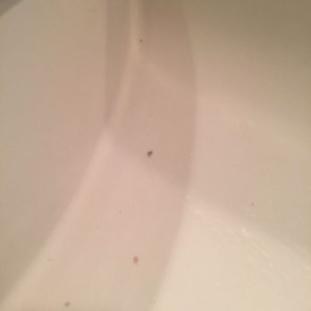 Maid Masters - Sink not cleaned - Home Cleaning Near Me Maid Masters - Sink not cleaned - Home Cleaning Near Me
