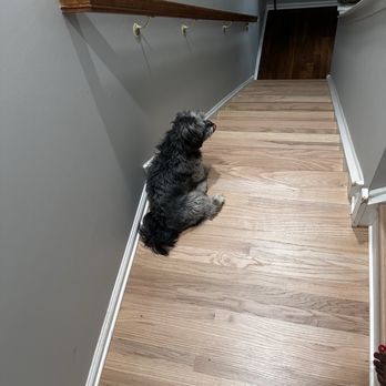 Galo Flooring - Flooring Near Me - Cherry Hill, New Jersey