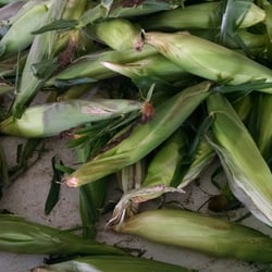 Murphy's Farm Market
