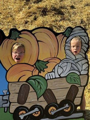 Bauman's Farm and Garden by null