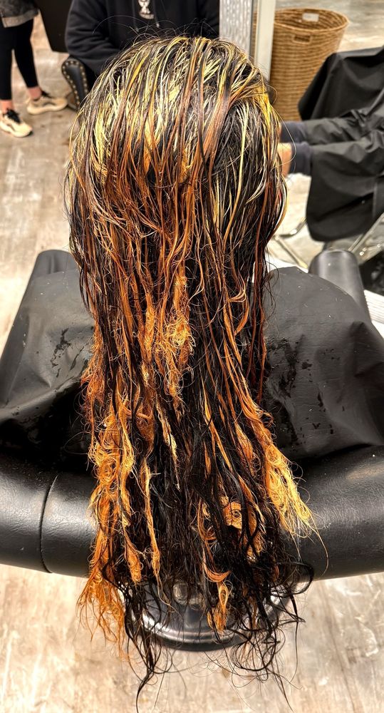 Salon Honey Image