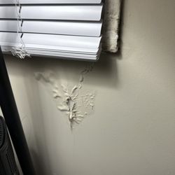 Westgate Apartments & Townhomes - The windows get wet of the cold outside  BC the water that falls below the window on the wall to peel off the wall paint.