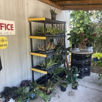 Orlando's Awesome Nursery - Nurseries & Gardening Near Me - Orlando, Florida Orlando's Awesome Nursery - Nurseries & Gardening Near Me - Orlando, Florida