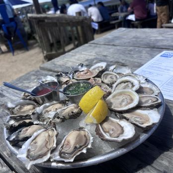 Hog Island Oyster - Seafood Near Me - Marshall, California Hog Island Oyster - Seafood Near Me - Marshall, California