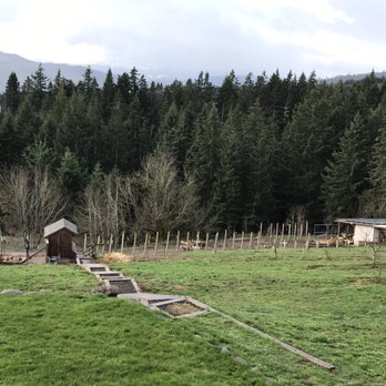 Sakura Ridge - Nothing like waking up to the sounds of chickens and lambs - Hotels Near Me - Hood River, Oregon