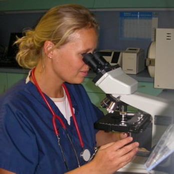 SmartVet - Veterinarians Near Me - Wiesbaden, HE