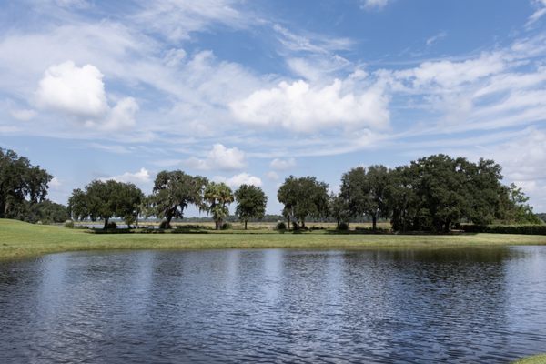 The Inn At Middleton Place, LLC by null