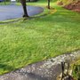 Photo of PH Lawn Care
