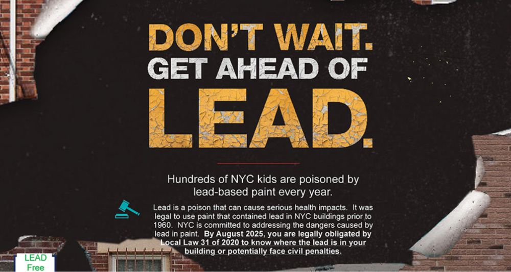 Lead - mold inspector in Brooklyn, NY