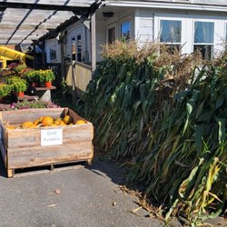 Calkins Farm Stand - Get your fall decorations