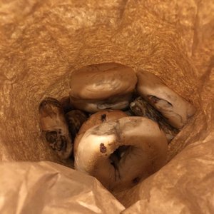 Upper Crust Bagel on Yelp