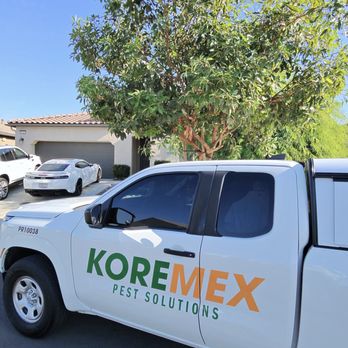 Koremex Pest Solutions - Pest Control Near Me Koremex Pest Solutions - Pest Control Near Me