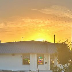 Vapor and Company - Altamonte - Vapor and Company - Altamonte Springs