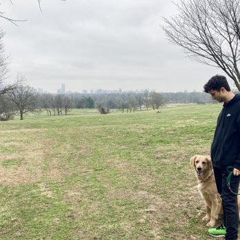 Dognify - Pet Training Near Me Dognify - Pet Training Near Me