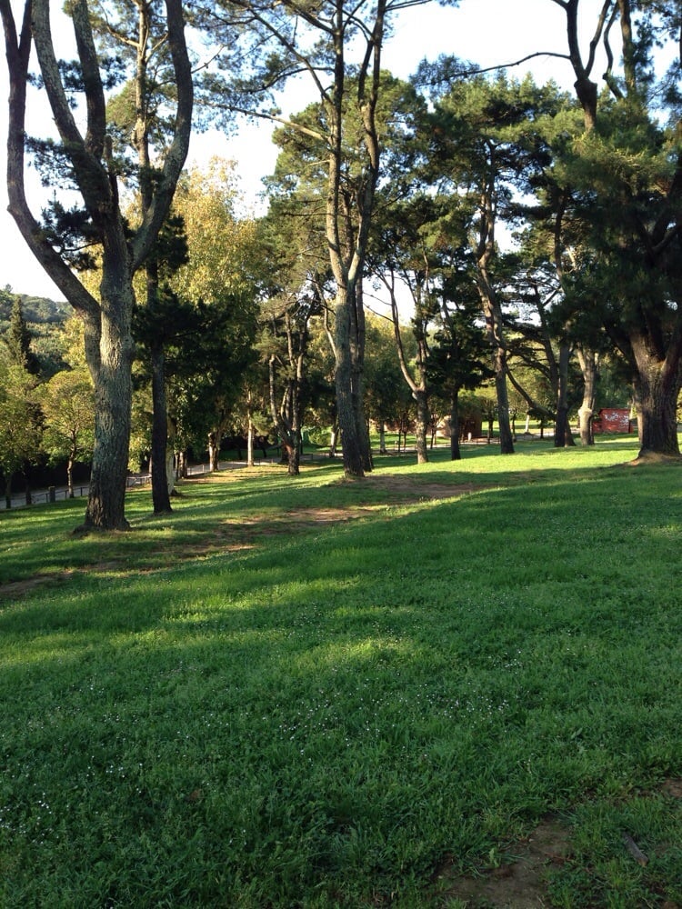 BASE AGESCI BRACCIANO Updated May 2024 Piazza Pasquale Paoli 18