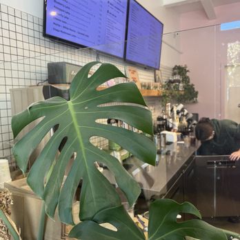 Atulea - Bubble Tea Near Me - Seattle, Washington Atulea - Bubble Tea Near Me - Seattle, Washington