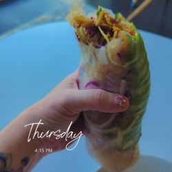 Avocado Spring Roll
