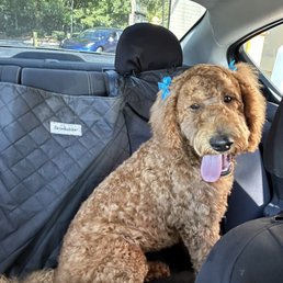 Poochie spa groom