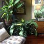 Photo of Progressive Healing Institute