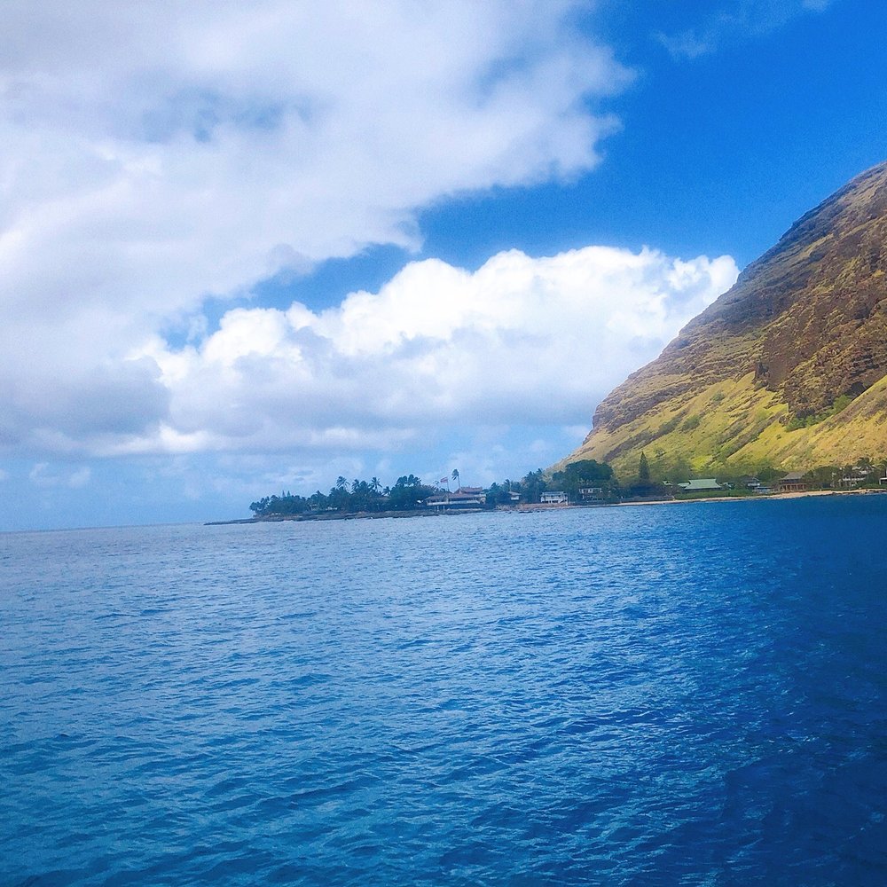 Island and You - The spot right before we jumped in to swim with dolphins - Bus Tours Near Me - Honolulu, Hawaii Island and You - The spot right before we jumped in to swim with dolphins - Bus Tours Near Me - Honolulu, Hawaii
