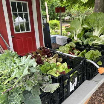 Half Barn Farmstead - a row of vegetables - Farmers Market Near Me - Lansing, Michigan Half Barn Farmstead - a row of vegetables - Farmers Market Near Me - Lansing, Michigan