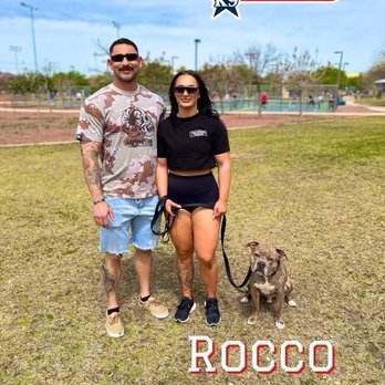 All-American K-9 Dog Training - Pet Training Near Me