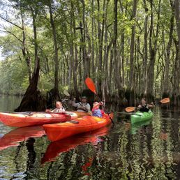 Late morning at Ebenezer Creek.
