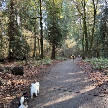 Seward Park - Hiking Near Me - Seattle, Washington