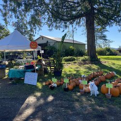 Greenwood Gardens - Farm stand