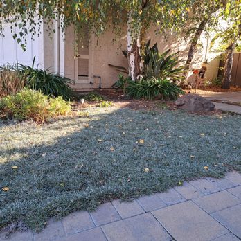 GeoLand Landscape - Front yard landscaping - Landscaping Near Me - San Jose, California GeoLand Landscape - Front yard landscaping - Landscaping Near Me - San Jose, California