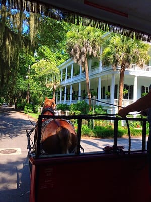 Sea Island Carriage Company by null