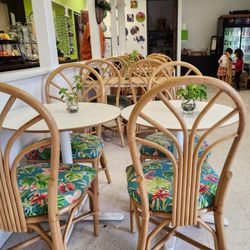 Mangroves Cafe - Interior