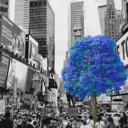 Wise Roots Marketing Agency