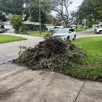 AP's Property Mgmt - Tree Services Near Me - Lithia, Florida