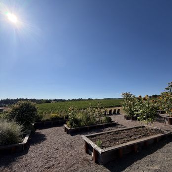 Adelsheim Vineyard - Wine Tasting Room Near Me - Newberg, Oregon