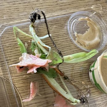 Poke & Bap - Rooted soil clump found in my salad - Poke Near Me - Honolulu, Hawaii Poke & Bap - Rooted soil clump found in my salad - Poke Near Me - Honolulu, Hawaii