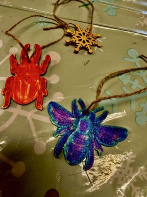 Hi-Desert Nature Museum by null