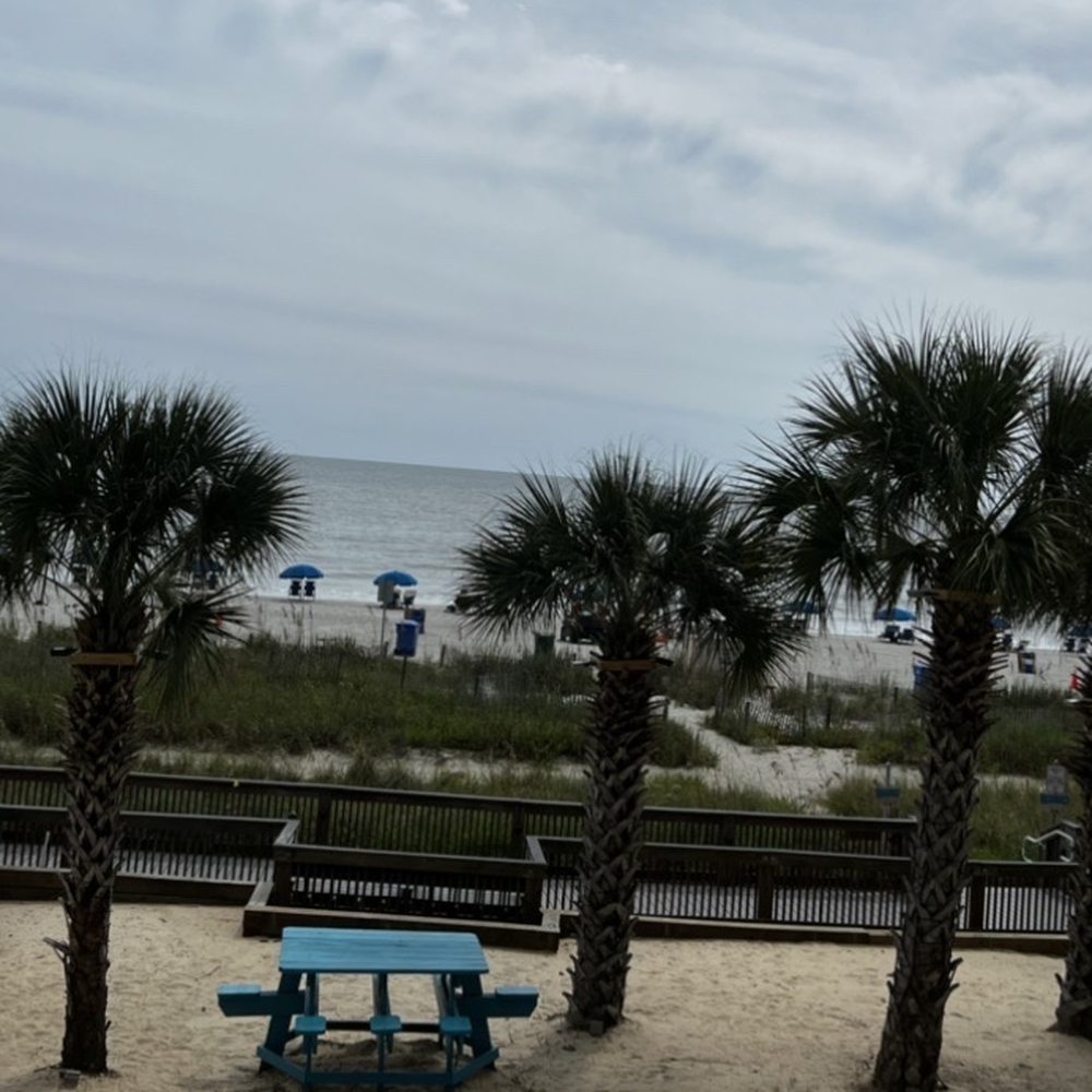 RipTydz - Ocean view and sand area - Seafood Near Me - Myrtle Beach, South Carolina