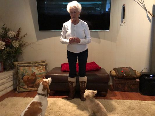 Our Satisfied Clients - We work with all types of animals including dogs, cats, turtles, horses, birds, and just about anything! Take a look at some of our satisfied clients and call or text me at (951) 452-6837 for more information! Our Satisfied Clients - We work with all types of animals including dogs, cats, turtles, horses, birds, and just about anything! Take a look at some of our satisfied clients and call or text me at (951) 452-6837 for more information!
